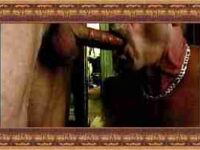 Video Old Friend Fucks My 