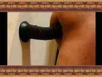 My horse dildo