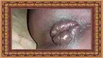My asspussy