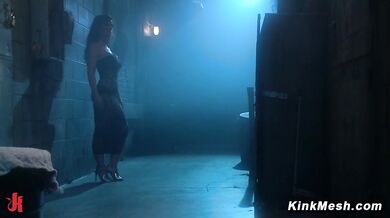 Video Anal Queens Back Alley Action