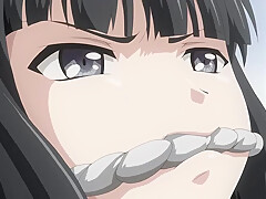 1 2637